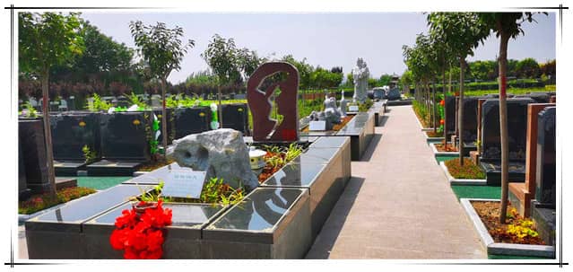 西安漢皇樹葬墓地具體位置及周邊環境