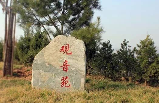 西安壽陽山墓園坐向 西安壽陽山墓園客服