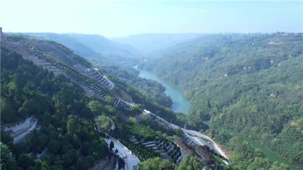 在西安壽陽山墓園購買墓地，客戶需要遵循哪些具體步驟？