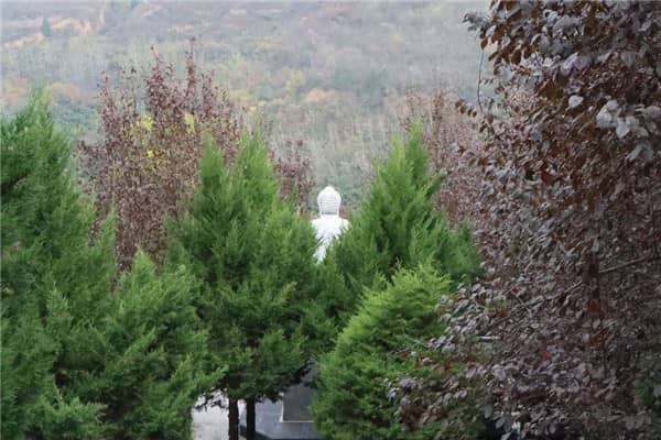 壽陽山墓園離五號線站多遠