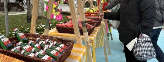 西安壽陽山公墓:深化殯葬改革,推行節(jié)地生態(tài)葬