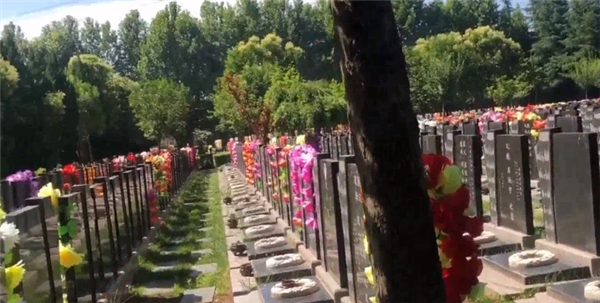 西安壽陽山壁葬墓地,大家都在關注