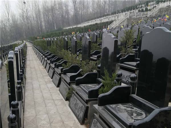 生態葬如何體現了對環境保護的貢獻?