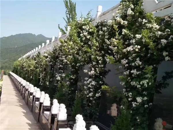 花壇葬西安九龍山公墓是如何實現的?