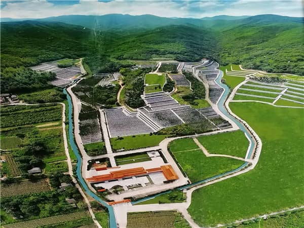 西安九龍山公墓的總規劃面積是多少，并且是如何進行區域劃分的？