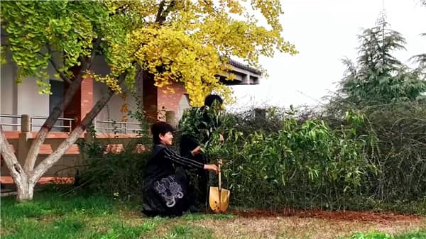 西安霸陵墓園新區(qū)怎么樣,選購攻略全面解讀!