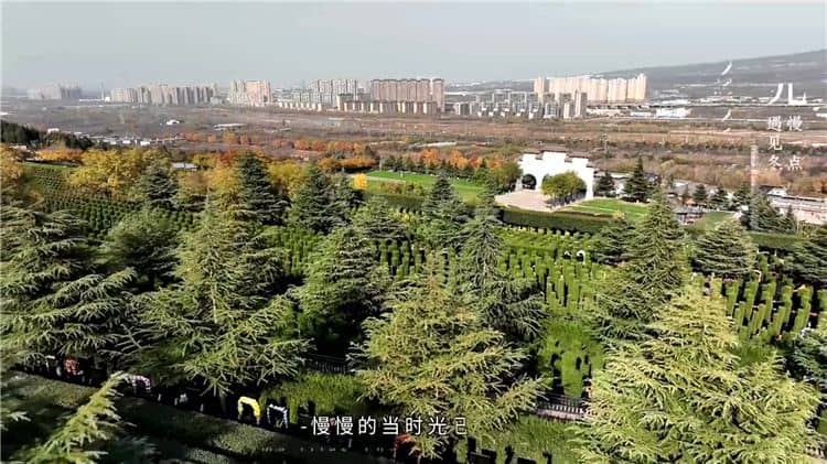 寒衣節祭故人 風雪亦有情 西安霸陵墓園新區
