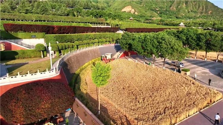 西安霸陵墓園地形特點概括,墓地大比拼