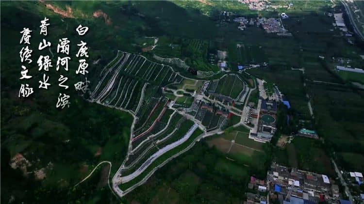 西安霸陵墓園新區和高橋墓園在墓型和價格上有何差異?