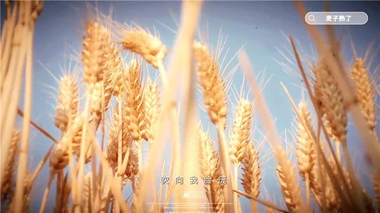 西安霸陵墓園新區(qū)是否支持家庭墓地繼承?
