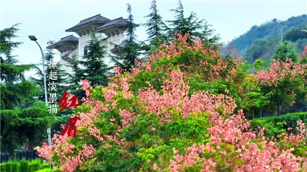 西安霸陵墓園在哪預約,選購攻略全面解讀!