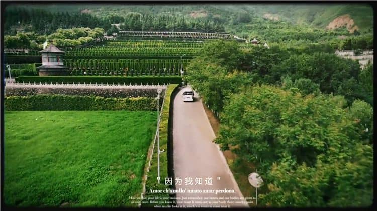 西安東郊霸陵新區墓園排名-西安霸陵墓園草坪墓碑圖