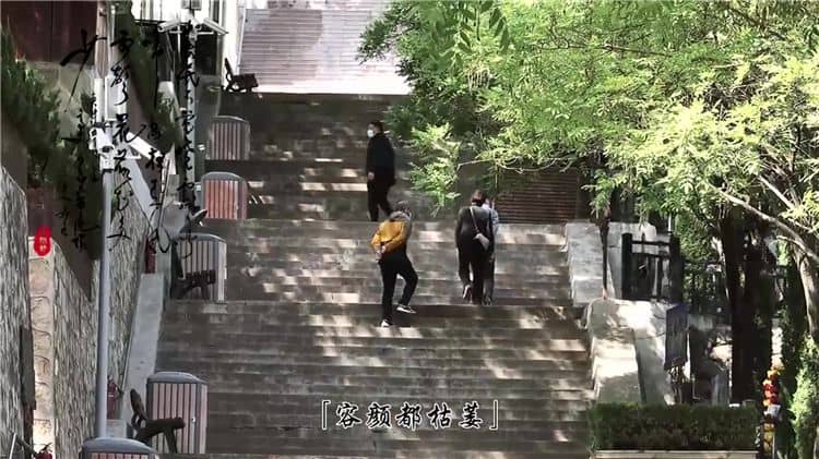 在霸陵陵園選擇生態葬式時，應該如何考慮和決策？