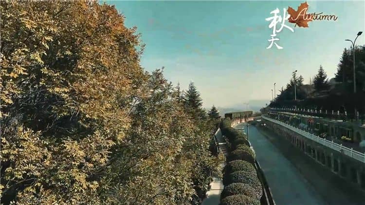 西安霸陵墓園新區具體位于哪個區域和街道，其周邊有哪些主要的交通路線？