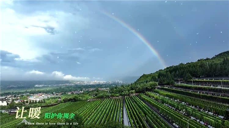 西安霸陵墓園新區(qū)的文化氛圍有何特點?