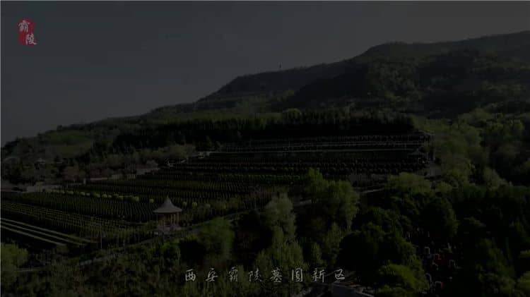 西安霸陵墓園不僅具有深厚的歷史背景和文化底蘊，還提供多種優質的服務項目和環保舉措