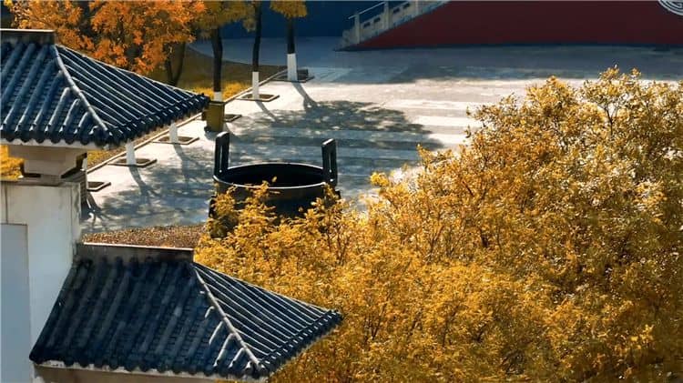 西安霸陵陵園新區(qū)如何體現(xiàn)對(duì)逝者的尊崇和敬意？