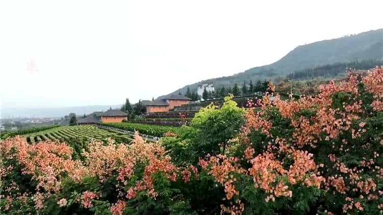 西安霸陵墓園新區(qū)在社會(huì)公益性方面有哪些貢獻(xiàn)?