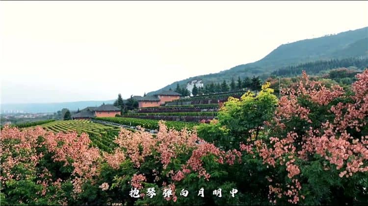 關于環保性,霸陵墓園如何做到減少對環境的影響?