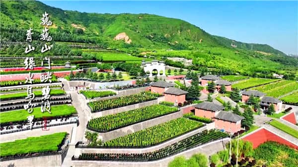 西安霸陵墓園新區樹葬草坪