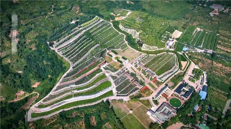 西安霸陵墓園如何滿足不同客戶的個性化需求？