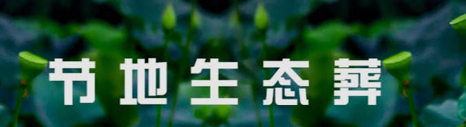 西安鳳棲山墓地購買全攻略：選擇與購買的最佳實(shí)踐