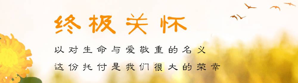 骨灰盒在墓穴中的正確擺放與注意事項